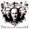 The Well of Your Love - Single