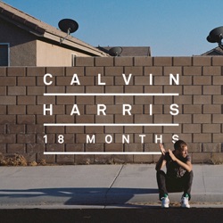 Calvin Harris - Sweet Nothing (feat. Florence Welch)