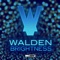Brightness - Walden lyrics