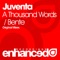 A Thousand Words - Juventa lyrics