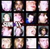 Fat Lip - Sum 41 Cover Art
