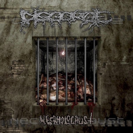 Cover artwork for Necrholocaust