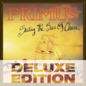 American Life by Primus