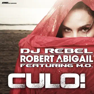 Culo! (feat. M.O.) [Radio Edit] by DJ Rebel & Robert Abigail song reviws