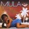 Cacha's Calle 39 Mix - Mula lyrics