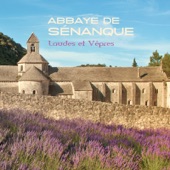 Abbaye de Sénanque - Laudes et Vêpres artwork