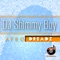 In Need - DJ Shimmy Boy lyrics