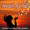 Breath of Chill - Premium Beach Lounge Selection for Wellness and Relaxation, 2013