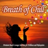 Breath of Chill - Premium Beach Lounge Selection for Wellness and Relaxation