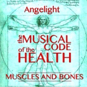 Healing Muscles and Bones