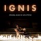 Ignis: VIII. artwork