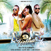 Ivoir' Feeling Vol 9 (Mixé par DJ Almighty) - DJ Almighty