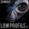 Low Profile - Insect lyrics