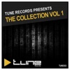 Tune Records Presents The Collection Vol 1, 2012