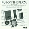 Pan on the Plaza, 2013