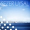 Baku (Shingo Nakamura Remix) [feat. CHINAR] - Sezer Uysal lyrics