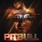 Took My Love (feat. David Rush, Red Foo and Vein) - Pitbull lyrics
