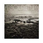 Arbouretum - All at Once, The Turning Weather