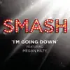 I'm Goin' Down (SMASH Cast Version) [feat. Megan Hilty] - Single album lyrics, reviews, download