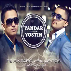 Te Pintaron Pajaritos - Single - Yandar & Yostin