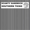 Southern Thing - Single
