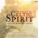Medley: Miller's Crossing, The Kiss, Last of the Mohicans - Celtic Spirit