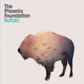 Buffalo by The Phoenix Foundation