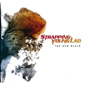 Strapping Young Lad - You Suck