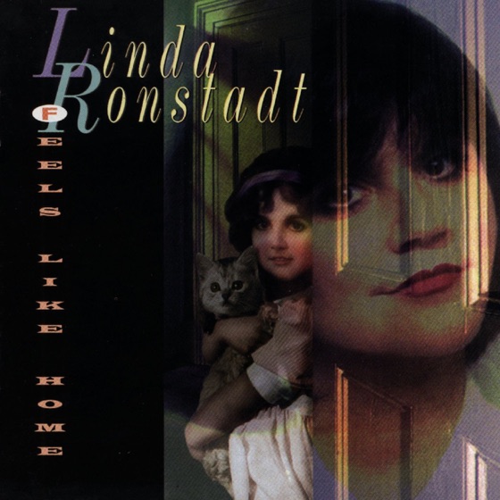 Cover artwork for Teardrops Will Fall