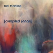 Roel Meelkop - I