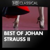 Johan Strauss - Blue Danube Waltz