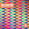 Ibiza Essential, Vol. 6