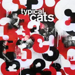 3 by Typical Cats album reviews, ratings, credits