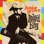 Junior Brown - Riverboat Shuffle