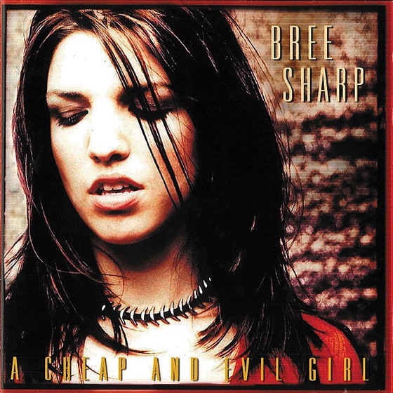 Cover artwork for America
