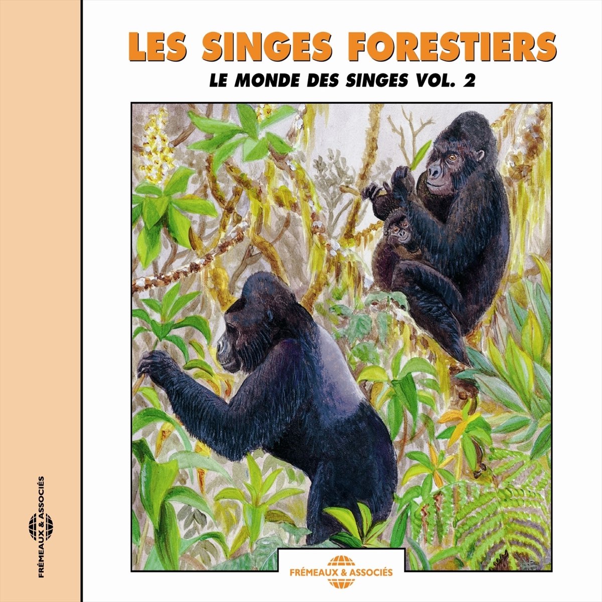 ‎Les Singes Forestiers - Monkeys Of The Forest (Le Monde Des Singes ...