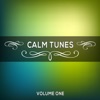 Calm Tunes, Vol. 01, 2014