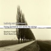 Beethoven: String Quintet & Rare Works for Strings artwork