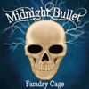 Faraday Cage