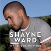 Shayne Ward - If That's OK With You