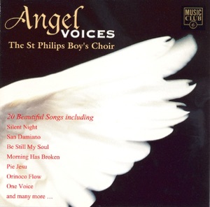 Song of Joy Artwork