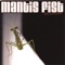 Bestman - Mantis Fist lyrics