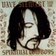 DAVE STEWART AND THE SPIRITUAL COWBOYS cover art