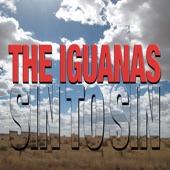 The Iguanas - Oye Mi Cumbia