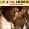 See That My Grave is Kept Clean - Little Pink Anderson lyrics
