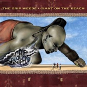 The Grip Weeds - I Believe