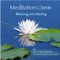 Relax Into Healing - Meditation Oasis lyrics