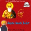 Bhai Lakhwinder Singh - Aisee Preet Karo