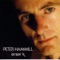 Happy Hour - Peter Hammill lyrics