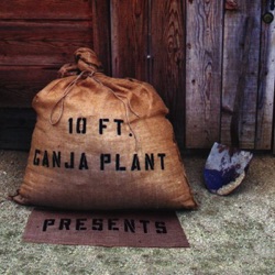 10 Ft. Ganja Plant - Chalwa